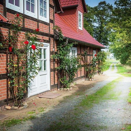 Landhaus Elbeflair Apartment Bei Doemitz Lenzerwische Exterior photo
